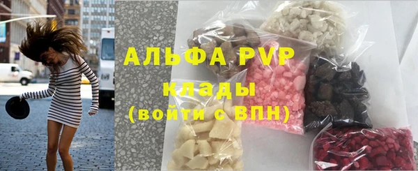 сатива Белокуриха