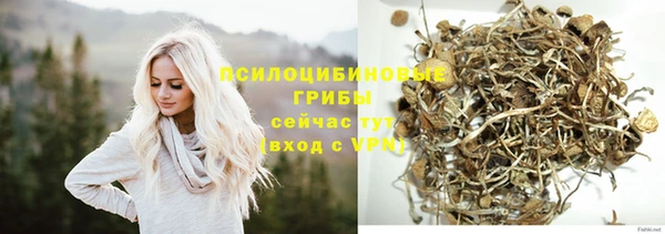 прущие крисы Беломорск